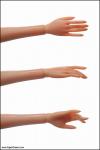 JAMIEshow - JAMIEshow - Right Hand R1 - Angelica Skintone - Hands
